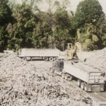 Industrial wood processing with trucks